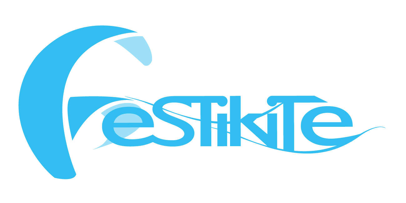 Ford Kuga European Championships